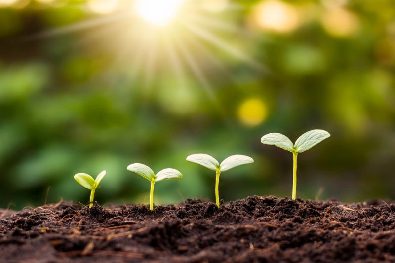 未経験者歓迎の成長環境